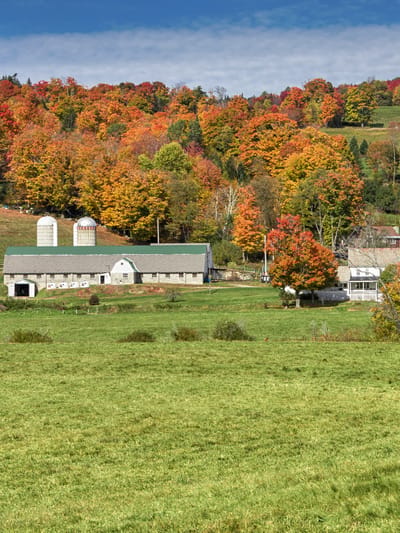beautiful-generic-dairy-farm-in-vermont-usa-2026